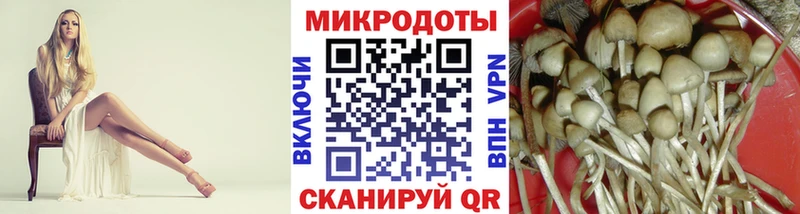 Псилоцибиновые грибы ЛСД  Полысаево 