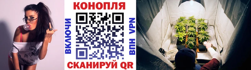 Каннабис тримм  Полысаево 